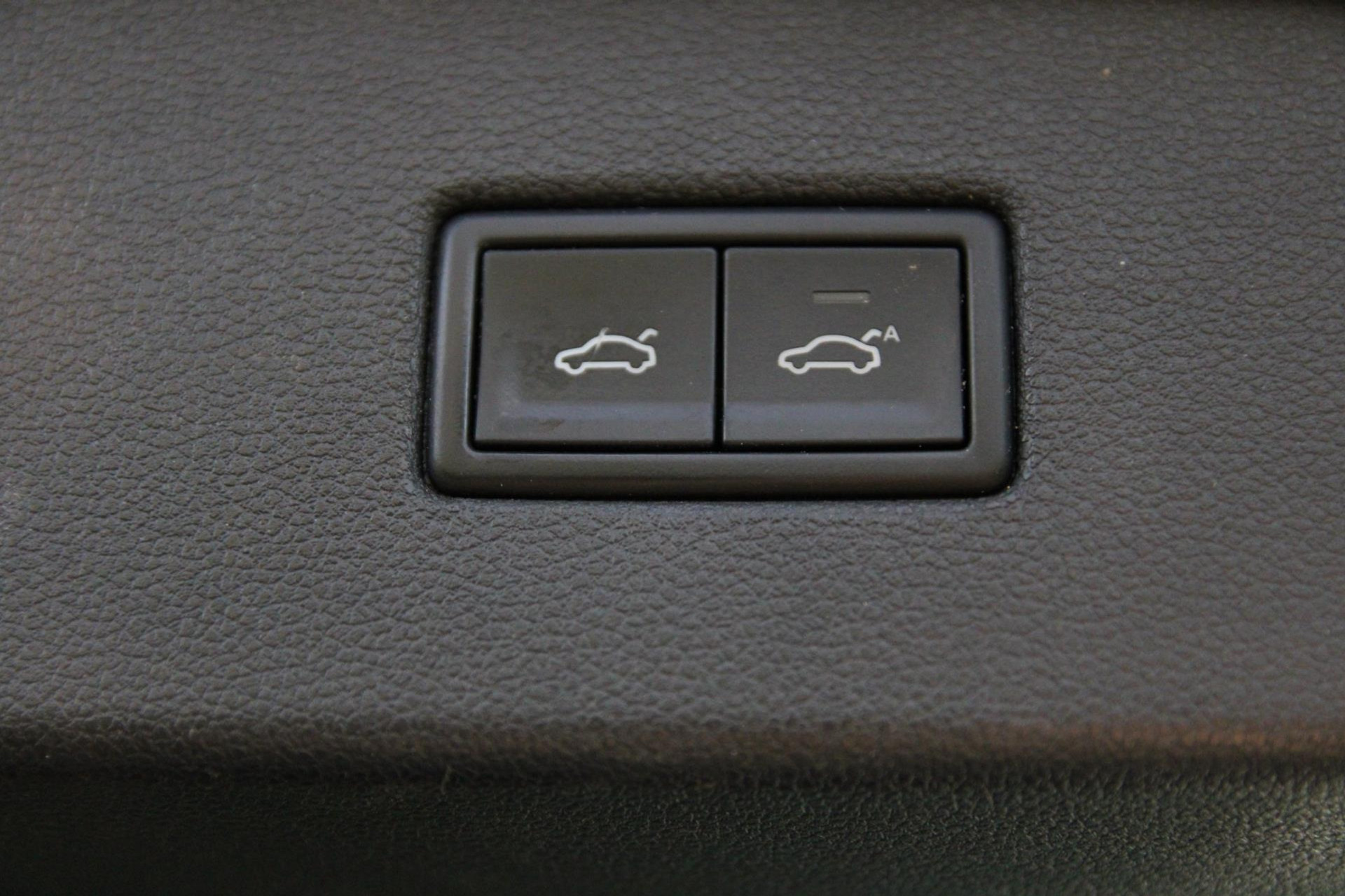 48678370-19.jpg